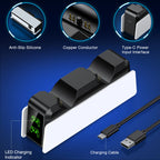 DualCharge Controller-Ladestation