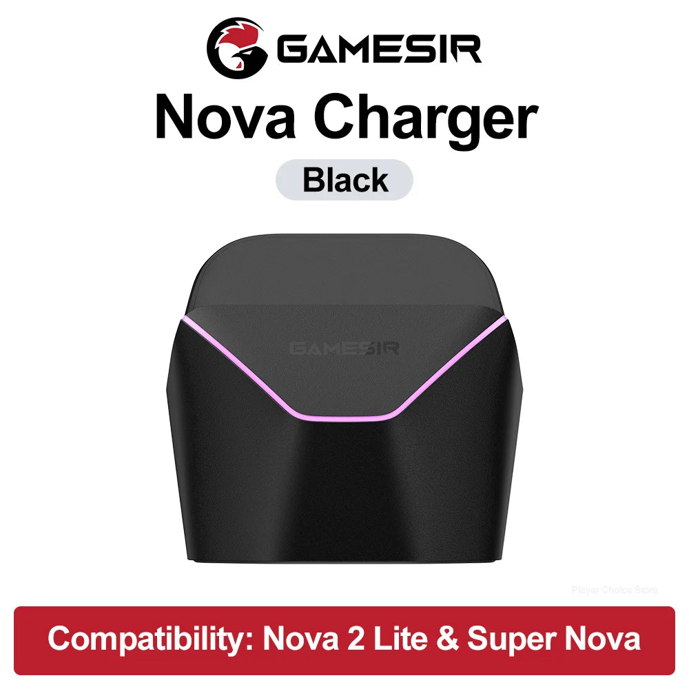 PowerDock Controller-Ladestation